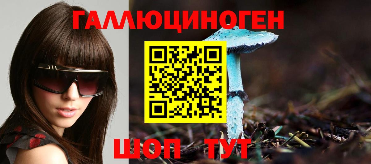 Евпатория  Псилоцибиновые грибы прущие грибы  Вход с VPN  Галлюциногенные грибы Psilocybe 